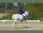 Photo CHEVAL BUGEY