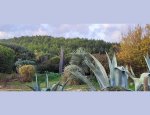 Photo LES JARDINS DE CLAUDE ALAIN