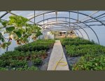 Photo LES JARDINS DE CLAUDE ALAIN
