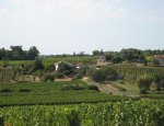 Photo CHATEAU DE COTS - EARL DES VIGNOBLES BERGON