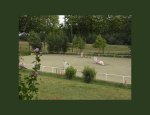Photo CENTRE EQUESTRE DU VOLVESTRE