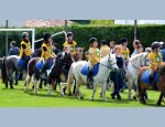 Photo CENTRE EQUESTRE DU VOLVESTRE