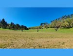 Photo CAMPING LA GARENNE