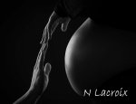 Photo NORBERT LACROIX PHOTOGRAPHE