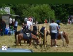 Photo CENTRE EQUESTRE DE LAVAL