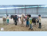 Photo CENTRE EQUESTRE DE LAVAL
