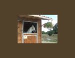 Photo CENTRE EQUESTRE PONEY CLUB DES HERBIERS