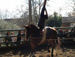 CENTRE EQUESTRE LE PILON/ASSOCIATION DES CAVALIERS MANOSQUINS