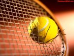 Photo TENNIS CLUB DE PLOBSHEIM