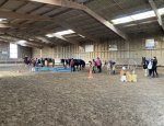 Photo MERS LES BAINS EQUITATION EARL