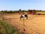 Photo CENTRE EQUESTRE DES ESSES