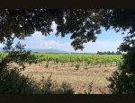 Photo DOMAINE LES CHEMINS DE SEVE
