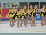 Photo PATINAGE ACSEL