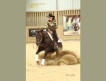 Photo FERME EQUESTRE LE RANCH