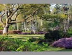ARBORETUM DES GRANDES BRUYERES