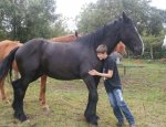 Photo A CHEVAL SUR SOI