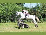 Photo CENTRE EQUESTRE DE MACHECOUL