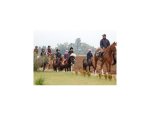 Photo CENTRE EQUESTRE DE MACHECOUL