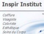 INSPIR INSTITUT