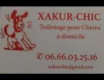 Photo XAKUR CHIC TOILETTAGE À DOMICILE