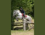 Photo CENTRE EQUESTRE LE PADDOCK