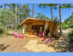 Photo CAMPING DES PINS