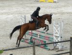 Photo CENTRE EQUESTRE DE BLOIS