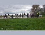 Photo CENTRE EQUESTRE DE BLOIS