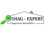 56 DIAG EXPERT