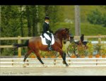 JOUBERT BEATRICE - GYMNASTIQUE DRESSAGE