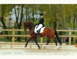 JOUBERT BEATRICE - GYMNASTIQUE DRESSAGE