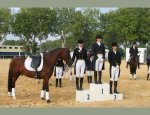 JOUBERT BEATRICE - GYMNASTIQUE DRESSAGE