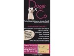 Photo DOGS & CO