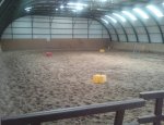 Photo ECURIE PONEY CLUB DE L'ANTONNIERE