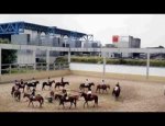 Photo PONEY CLUB ET CENTRE EQUESTRE DE LA VILLETTE