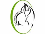 LES CHEVAUX DU BEL AIR