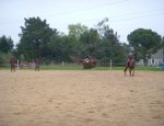 Photo Y-D HORSES PENSIONS