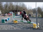 Photo PLAISIRS EQUESTRES - PONYS'UP