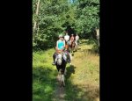 Photo PLAISIRS EQUESTRES - PONYS'UP