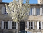BEATRICE BLANCHY IMMOBILIER BORDEAUX