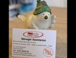 Photo MENAGER ASSISTANCE PRO&CIE