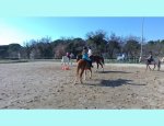 CENTRE EQUESTRE PLEINE NATURE