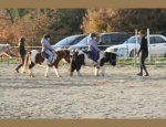CENTRE EQUESTRE PLEINE NATURE