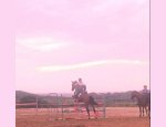 CENTRE EQUESTRE PLEINE NATURE