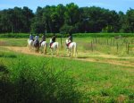 Photo CENTRE EQUESTRE HARAS DES EVIERES