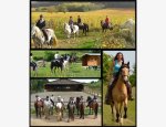Photo CENTRE EQUESTRE DE CORLAY