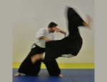 Photo TAKEMUSU AIKIDO MONTPELLIER