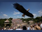 Photo GRAND PARC DU PUY DU FOU