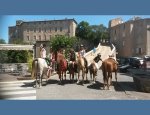 Photo LES CHEVAUX DU BESSILLON