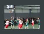 Photo FL BASKET CHAMBON